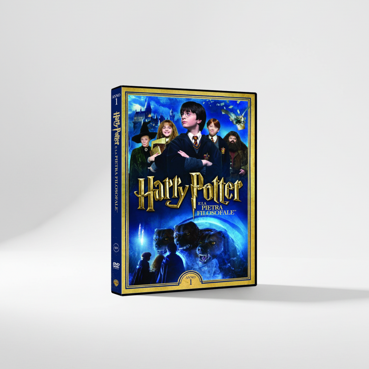 Harry Potter e la pietra filosofale DVD