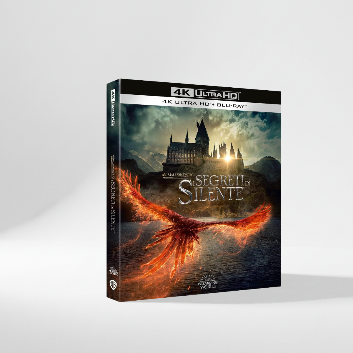 I Segreti di Silente 4K