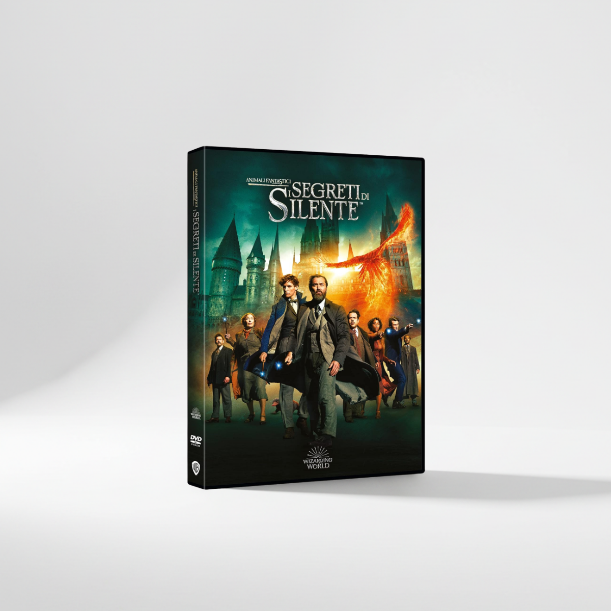 I Segreti di Silente DVD