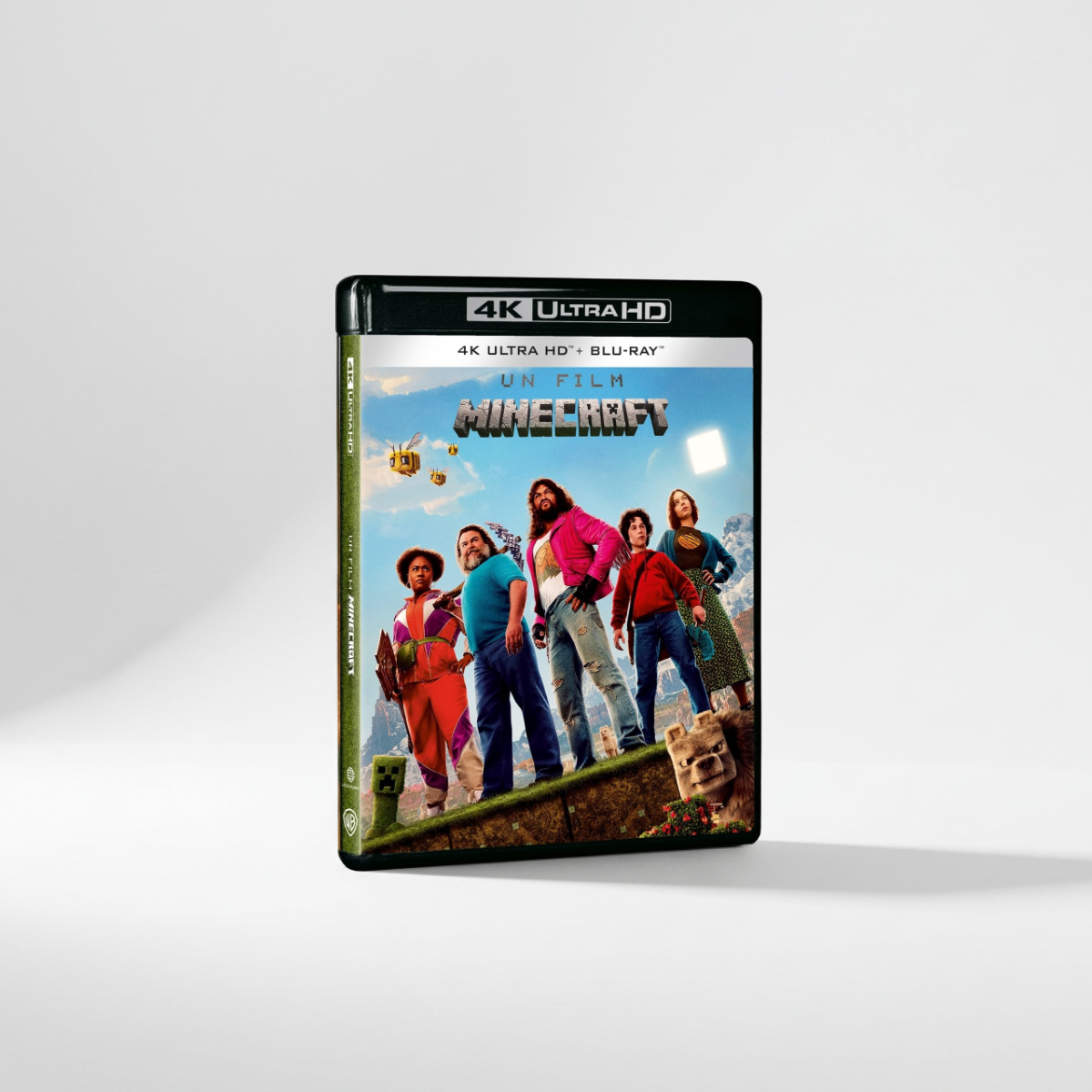 Un Film Minecraft 4K