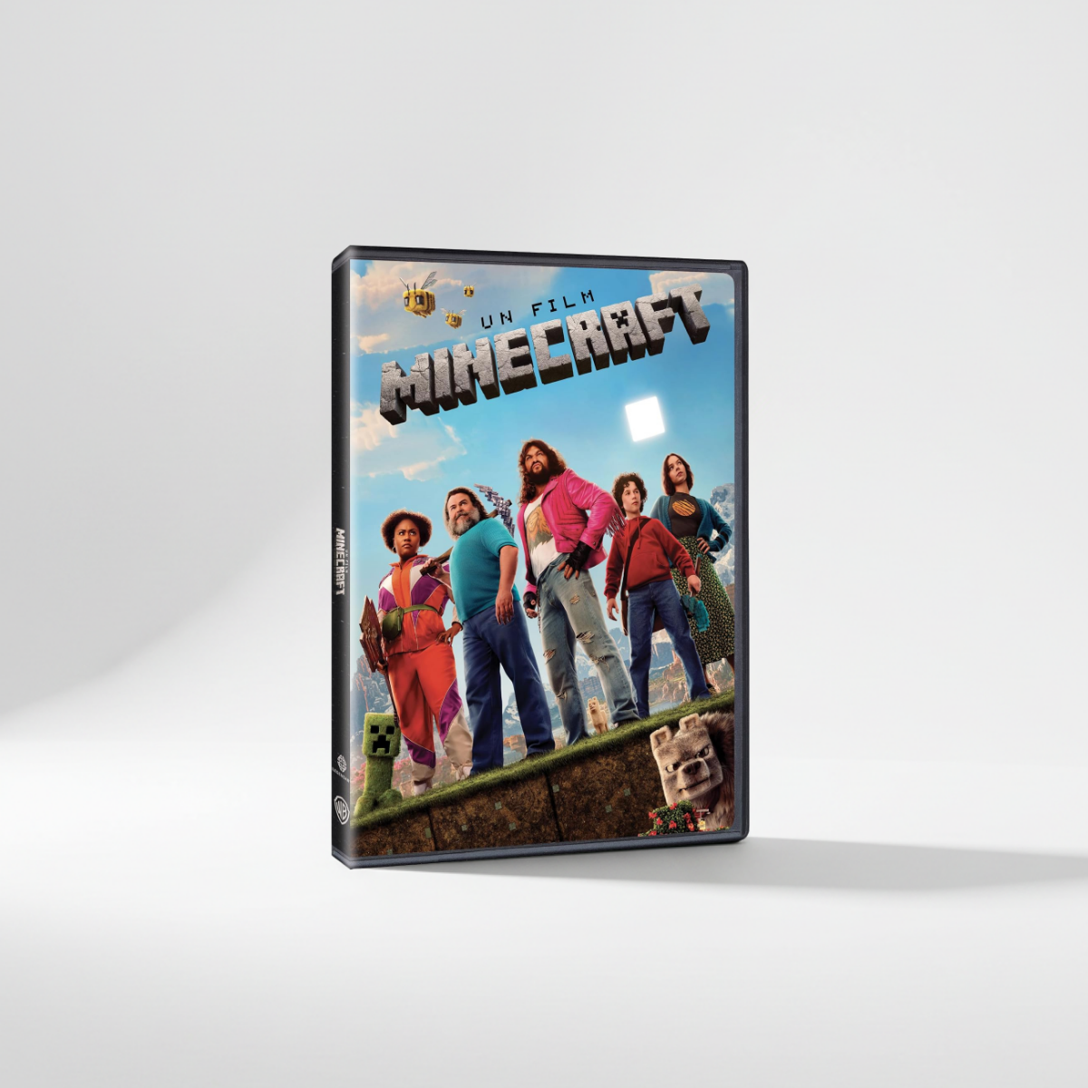 Un Film Minecraft DVD