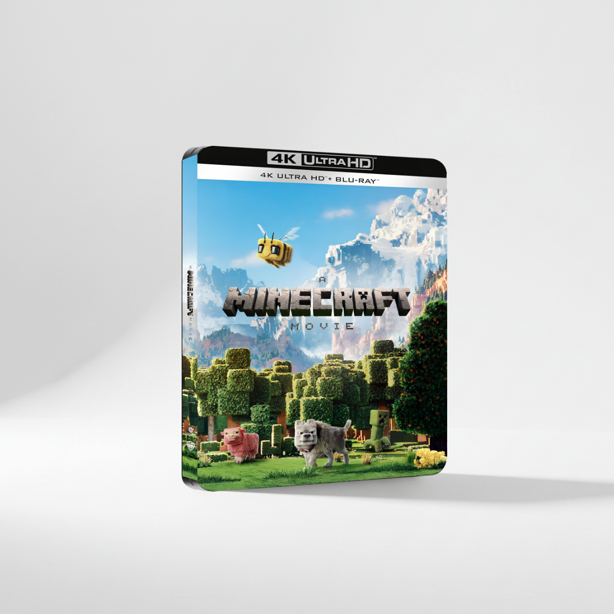 Un Film Minecraft steelbook 2