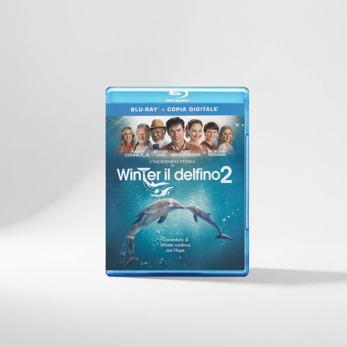 L'Incredibile storia di Winter il Delfino 2